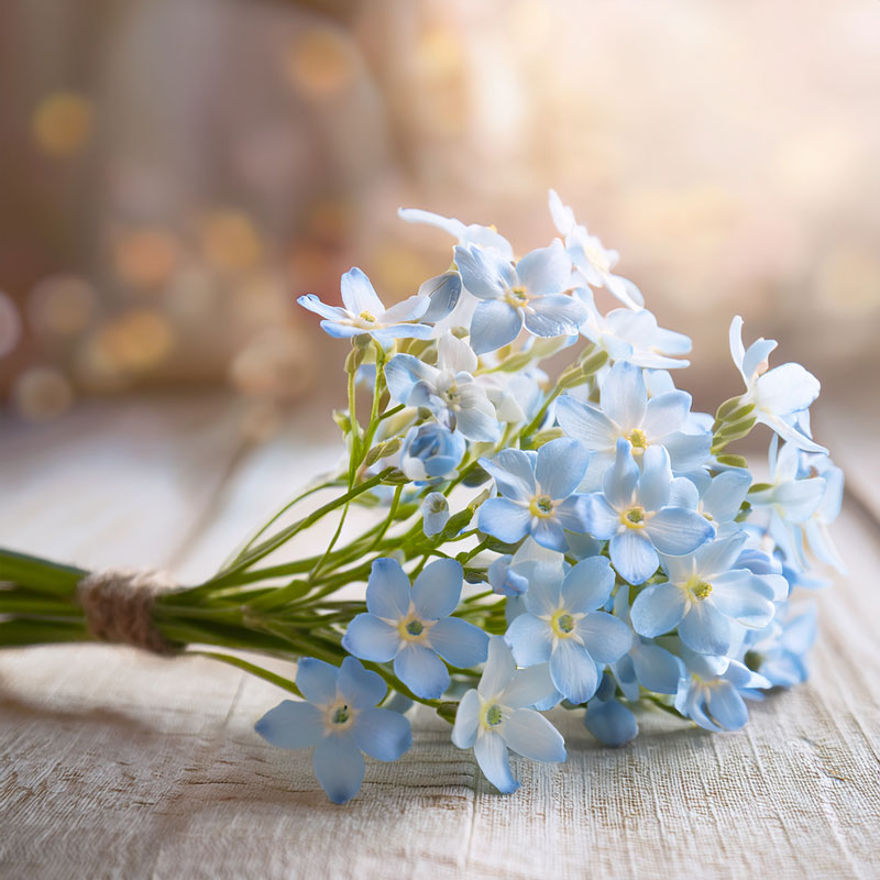 800x800fmnfarewell