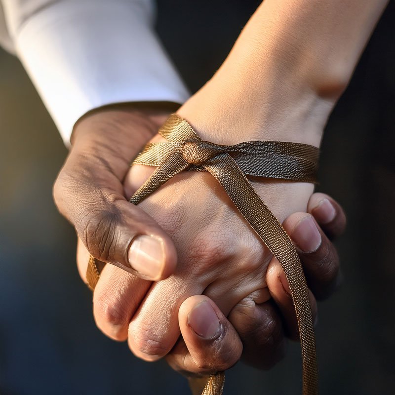 The_intimate_knot